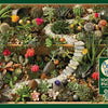 Cobble Hill - Succulent Garden Jigsaw Puzzle (1000 Pieces)