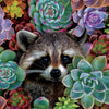 Ceaco - Nature's Beauty - Racoon by Karen Cantu Jigsaw Puzzle (550 Pieces)