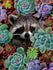 Ceaco - Nature's Beauty - Racoon by Karen Cantu Jigsaw Puzzle (550 Pieces)