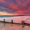 Schmidt - Mccrae Beach Morning Peninsula, Victoria, Australia by Mark Gray Jigsaw Puzzle (1000 Pieces)