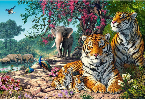 Castorland - Tiger Sanctuary Jigsaw Puzzle (3000 Pieces)