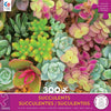 Ceaco - Succulents - Bright Succulents - XL Jigsaw Puzzle (300 Pieces)