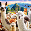 Castorland - Llamas Selfie Jigsaw Puzzle (1000 Pieces)