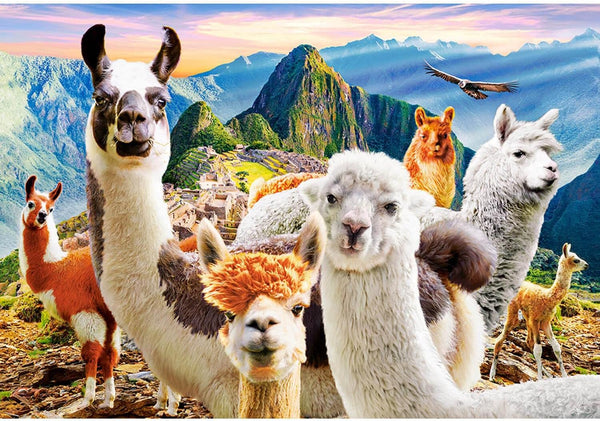 Castorland - Llamas Selfie Jigsaw Puzzle (1000 Pieces)