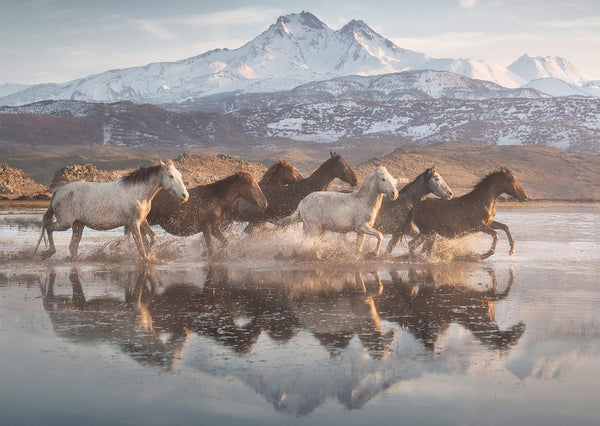 Schmidt - Horses In Cappadocia Jigsaw Puzzle (1000 Pieces)