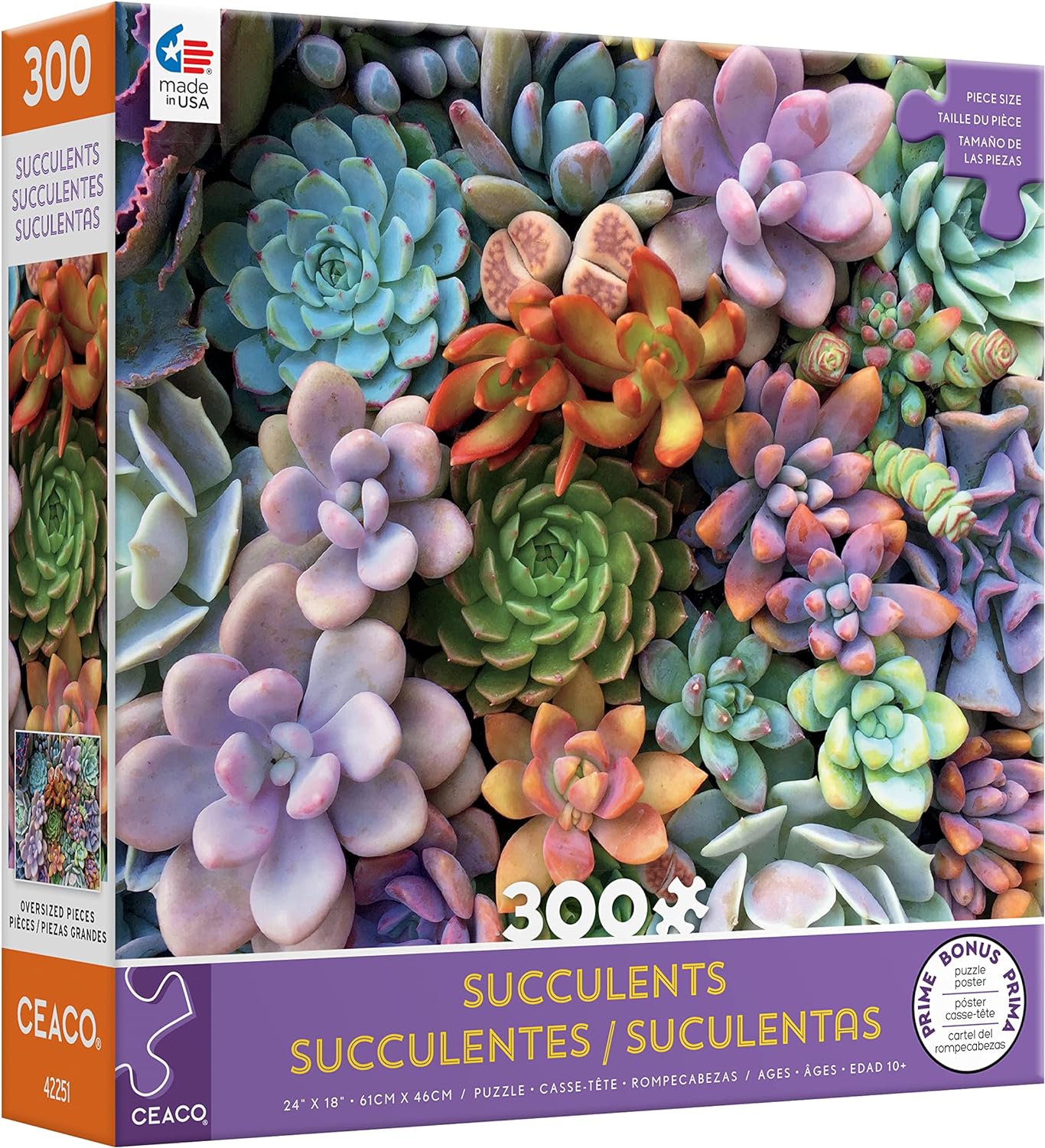 ceaco succulent puzzle Ceaco - Succulents - Pretty Pastels - XL Jigsaw Puzzle (300 Pieces)