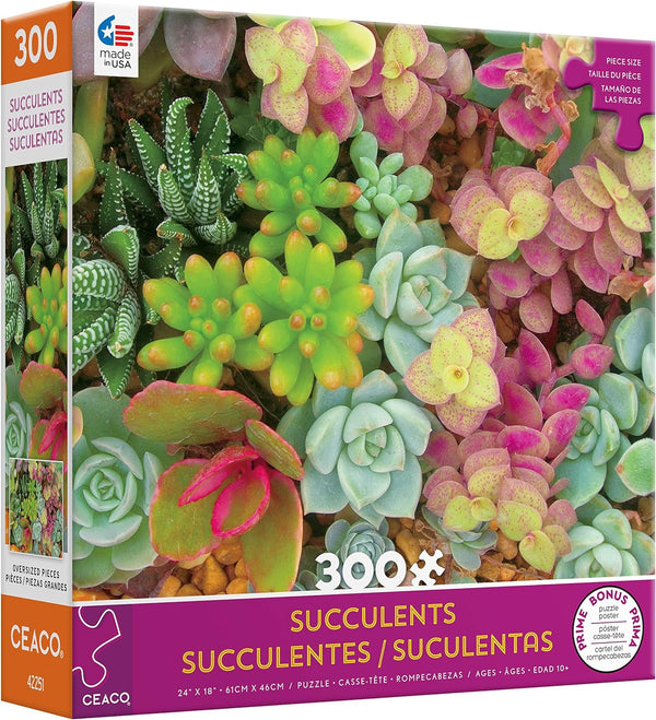 Ceaco - Succulents - Bright Succulents - XL Jigsaw Puzzle (300 Pieces)