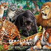 Clementoni - Wild Cats Jigsaw Puzzle (500 Pieces)