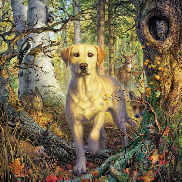 Ceaco - Yellow Lab by Mark Fredrickson Jigsaw Puzzle (500 Pieces)