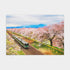 Pintoo - Showpiece Xs - Sakura Tunnel Plastic Jigsaw Puzzle (368 Pieces)