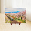 Pintoo - Showpiece Xs - Sakura Tunnel Plastic Jigsaw Puzzle (368 Pieces)