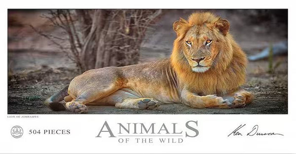 Ken Duncan - Animals of the Wild - Lion of Zimbabwe 504 Piece Jigsaw Puzzle