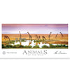 Ken Duncan - Animals of the Wild - Foutain of Life 504 Piece Jigsaw Puzzle