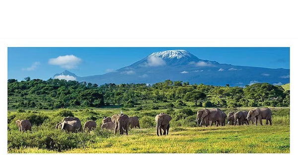 Ken Duncan - Animals of the Wild - Kings of Kilimanjaro 504 Piece Jigsaw Puzzle