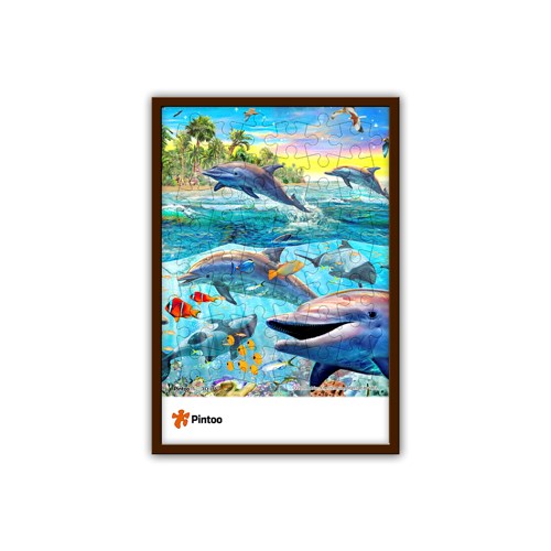 Pintoo - Push Dolphin/Underwater Ship 48 Piece Jigsaw Puzzle