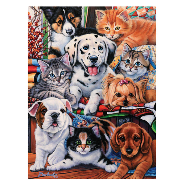 Crown - Radiant Series - Country Pups & Kittens II Jigsaw Puzzle (1000 pieces)