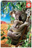 Educa - Koala And Cub Jigsaw Puzzle (500 Pieces)