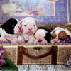 Educa - Puppies Jigsaw Puzzle (500 Pieces)