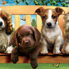Educa - Puppies in the Bank "Panorama" Jigsaw Puzzle (1000 Pieces)