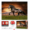 Educa - Trotting Horse Jigsaw Puzzle (1000 Pieces)