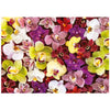 Educa - Orchid Collage Jigsaw Puzzle (1000 Pieces)