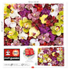 Educa - Orchid Collage Jigsaw Puzzle (1000 Pieces)