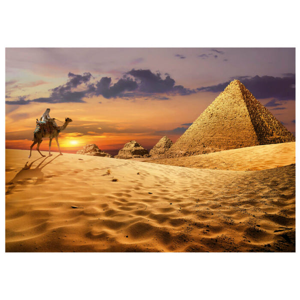 Educa - Camel In The Desert Jigsaw Puzzle (1000 Pieces)