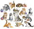 Bits and Pieces - Set of Twelve (12) Mini Jigsaw Puzzles - Kittens by The Dozen - 250 pc Cat Puzzle Collection by Artist Jack Williams