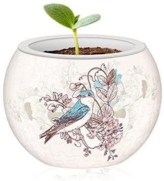 Pintoo - Flowerpot Birds & Flowers Jigsaw Puzzle (80 Pieces)