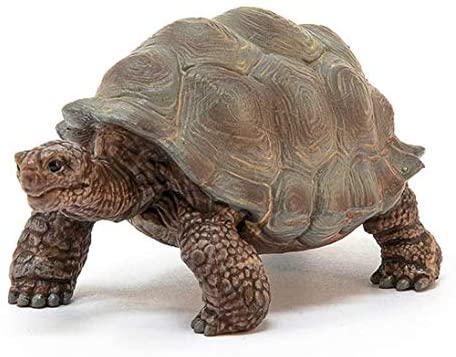 Schleich 14824 Giant Tortoise Figurine