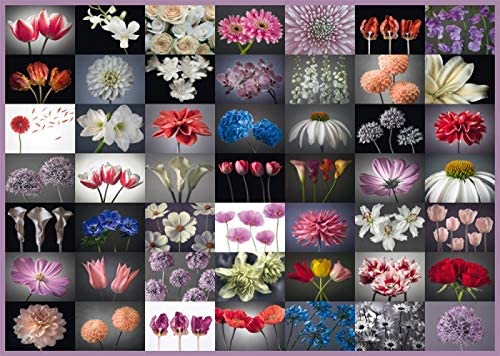 Schmidt - Floral Greetings Jigsaw Puzzle (2000 Pieces)