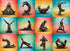 Willow Creek - Sloth Yoga Jigsaw Puzzle (1000 Pieces)