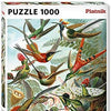 Piatnik - Hummingbirds by Ernest Haeckel Jigsaw Puzzle (1000 Pieces)