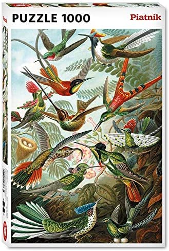 Piatnik - Hummingbirds by Ernest Haeckel Jigsaw Puzzle (1000 Pieces)