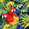 Ceaco Wild - Majestic Macaws 1000 Piece Puzzle Beautiful Colourful