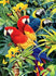 Ceaco Wild - Majestic Macaws 1000 Piece Puzzle Beautiful Colourful