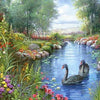 Castorland - Black Swans, Andres Orpinas Jigsaw Puzzle (1500 Pieces)