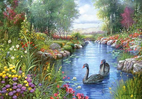 Castorland - Black Swans, Andres Orpinas Jigsaw Puzzle (1500 Pieces)