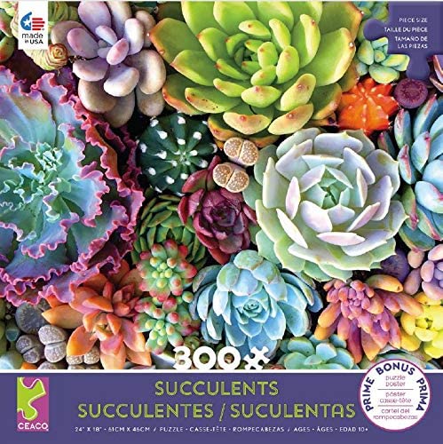 Ceaco Succulent Synergy Puzzle - 300 Pieces
