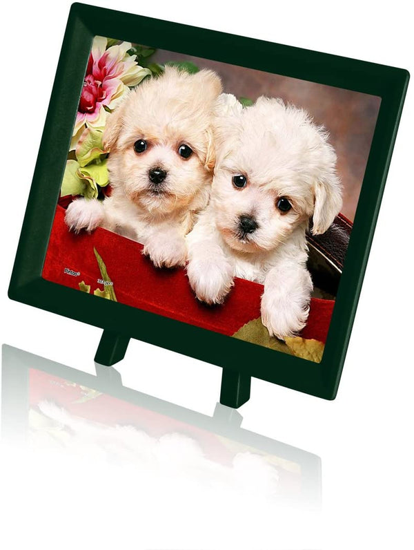 Pintoo - Puppies in Gift Box Plastic Jigsaw Puzzle (150 Pieces)