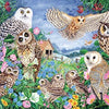 Jumbo 11286 Falcon de Luxe - Owls in The Wood 1000 Piece Jigsaw Puzzle