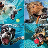 Willow Creek - Underwater Dogs: Pool Pawty Jigsaw Puzzle (1000 Pieces)