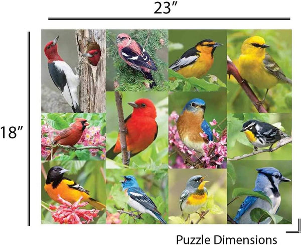 Springbok Birds of a Feather Jigsaw Puzzle (500 Piece)