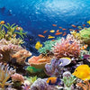 Castorland - Coral Reef Jigsaw Puzzle (1000 Pieces)