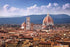 Tomax  - Cathedral Santa Maria Florence Jigsaw Puzzle (2000 Pieces)