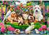 Castorland - Pets in the Park Jigsaw Puzzle (1000 Pieces)