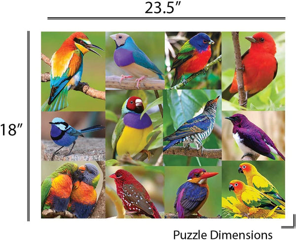 Springbok Puzzles - Birds of Paradise - 500 Piece Jigsaw Puzzle - Large 18 Inches by 23.5 Inches Puzzle - Made in USA - Unique Cut Interlocking Pieces