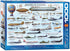 EuroGraphics - History of Aviation Jigsaw Puzzle (1000 Pieces)