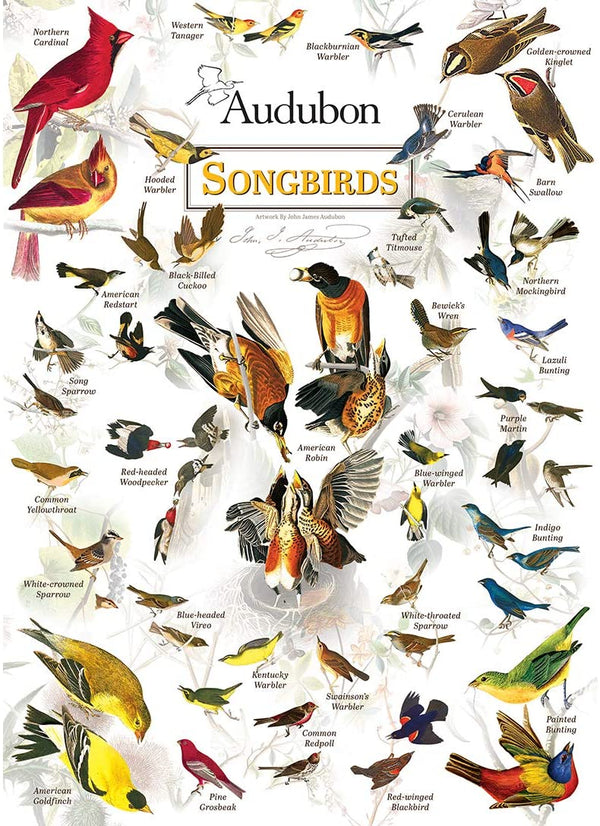 Masterpieces - Poster Art James Audubon Song Birds Jigsaw Puzzle (1000 Pieces)