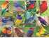 Springbok Puzzles - Birds of Paradise - 500 Piece Jigsaw Puzzle - Large 18 Inches by 23.5 Inches Puzzle - Made in USA - Unique Cut Interlocking Pieces